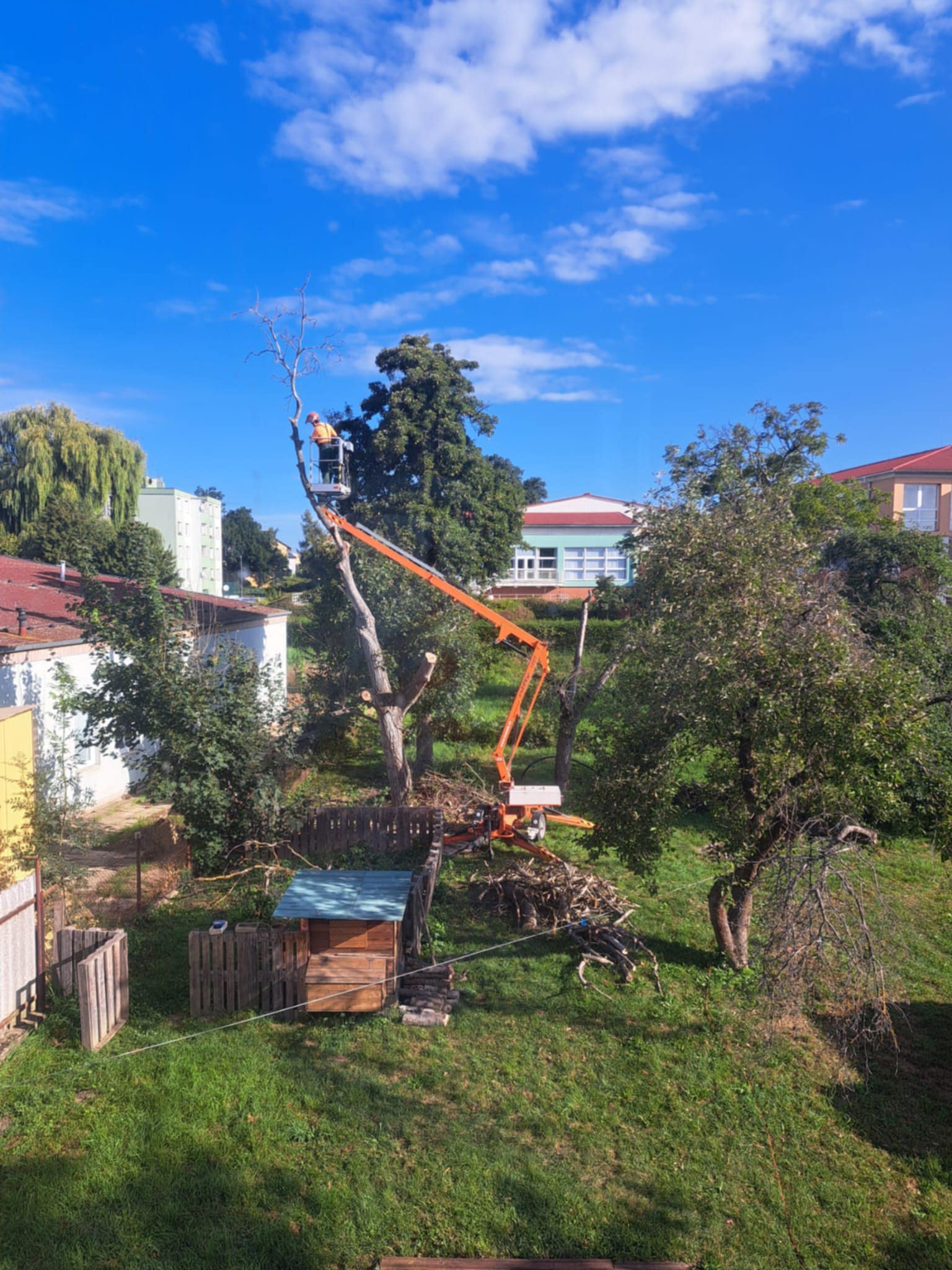 Ořez stromu montážní plošinou — Elektro Řmot, Litovel a Olomouc